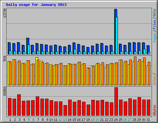 Daily usage for January 2013