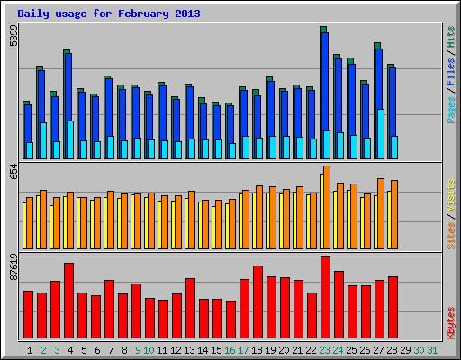 Daily usage for February 2013