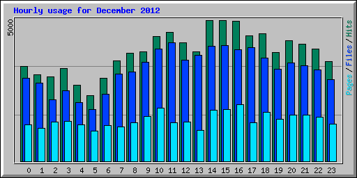 Hourly usage for December 2012