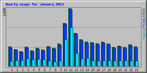 Hourly usage for January 2013