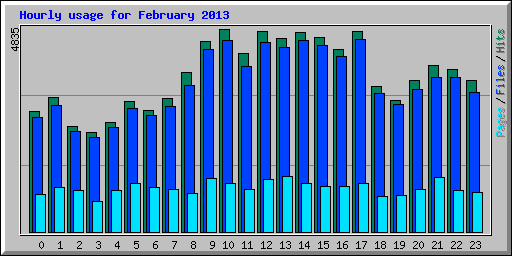 Hourly usage for February 2013