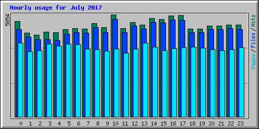 Hourly usage for July 2017