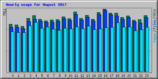 Hourly usage for August 2017