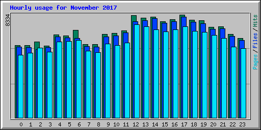 Hourly usage for November 2017